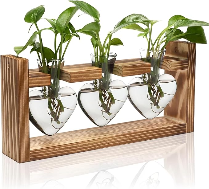 Zorpupoa Plant Propagation Station, Plant Terrarium with Wooden Stand, Tabletop Glass Planter Desktop Plants Propagation Vase for Hydroponics Plants - 3 Heart Shaped Vases