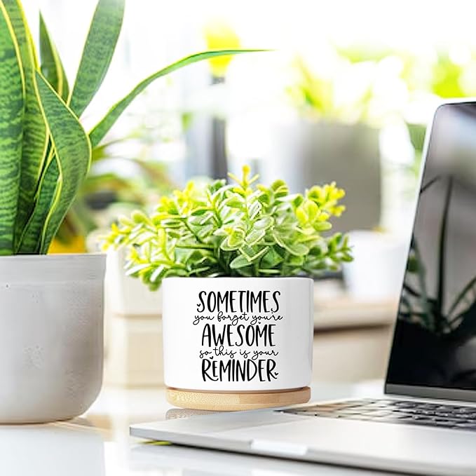 Aryabtya Cute Succulent Planter, Flower Cactus Plant Pot Gifts, Thank You Inspirational Gifts for Women Men Coworkers Teachers Plant Lovers, Office Home Windowsill Indoor Decor (No Plants)