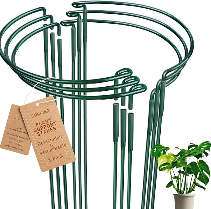 Soupiar 6 Pack Detachable & Assemblable Metal Plant Support Stakes - Garden Support Ring, Tomato Seedling Cage, Young Monstera/Pothos for Growing Indoor/Outdoor (10" W x 16" H)