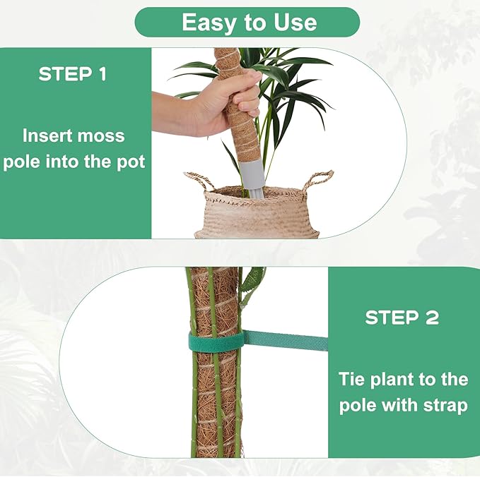 3 Pack Moss Pole, 50 Inch Monstera Plant Support, Tall Moss Poles for Climbing Plants Indoor DIY, Coco Coir Plant Pole Moss Plant Stick Support Stake Kit for Potted Plants, Pothos, Philodendron