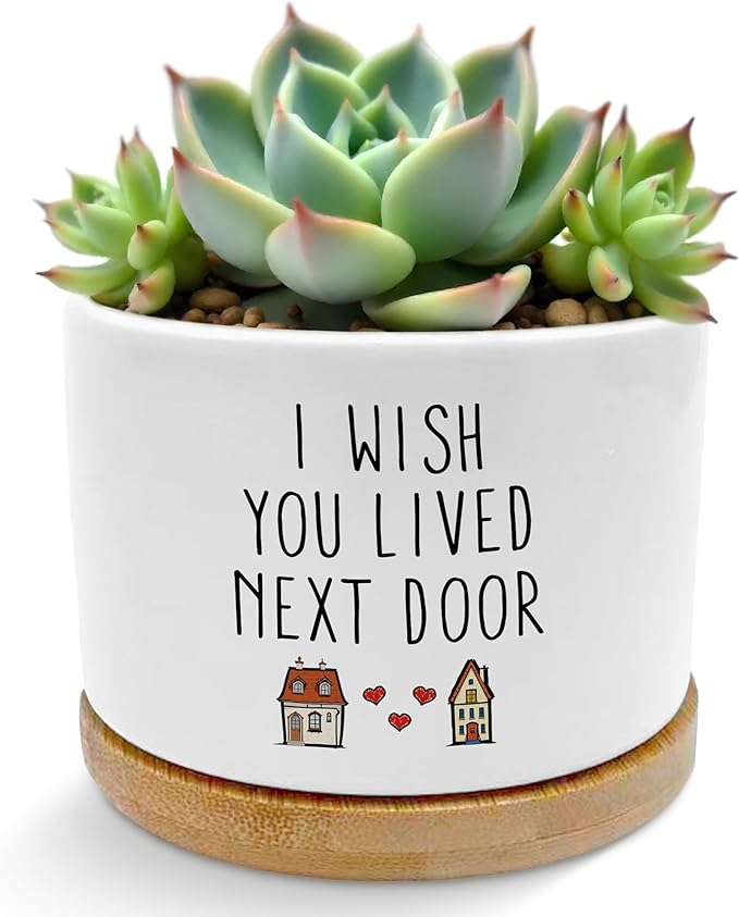 ROXMART Friendship Gifts for Women Plant Pots, Birthday Gifts for Best Friend Succulent Planters, I Wish You Lived Next Door Ceramic Plant Flower Pots for Home Office Desk Table Shelf(No Plants)