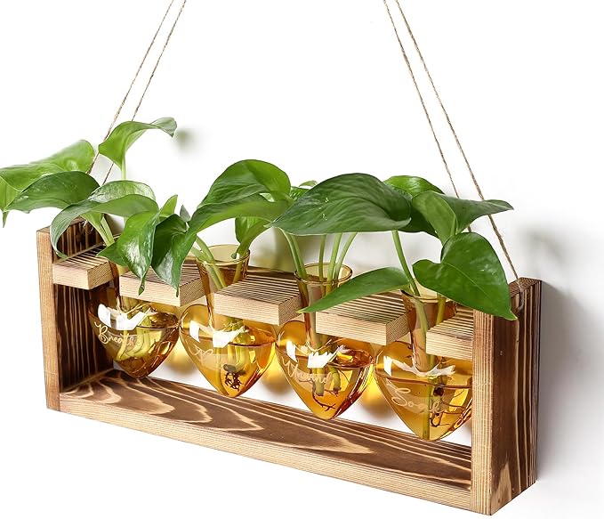 CYZglass Plants Propagation Stations Plant Terrarium Kit for Bathroom Glass Planters for Indoor Plants Bathroom Decor Accessories - Relax Soak Unwind Breathe