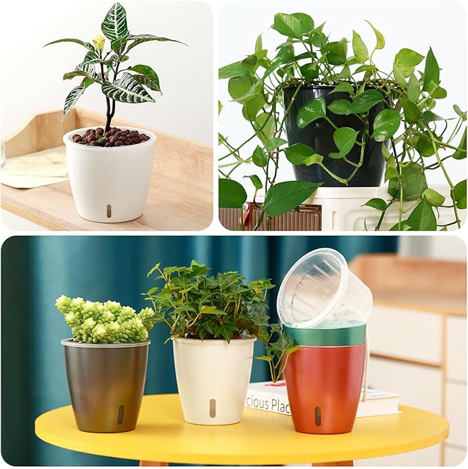 KvyusFlourish Self Watering Pots for Indoor Plants, 12-Pack 5'' Self Watering Planter with Drainage Holes, Small African Violet Pots with Water Level Indicator, Clear Wick Pot, Black