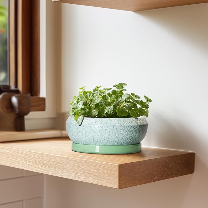 EPFamily Succulent Pot 6 Inch - Ceramic Bonsai Pots Indoor Outdoor, Shallow Plant Pots with Drainage Hole and Saucer, Small Bonsai Planter, Round Bowl Planter, Desk Decor, Housewarming Gifts, Green