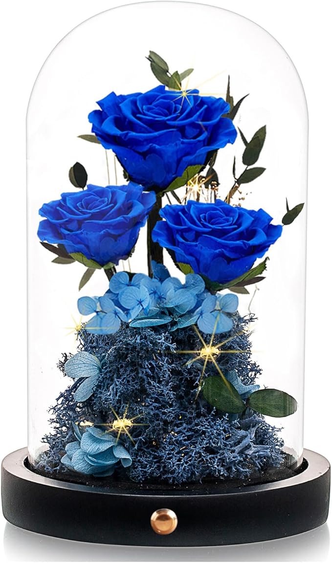 DENIMOMO Flowers Roses Gifts for Women Her,Forever Preserved Rose in Glass Dome, Valentines Anniversary Birthday Real Roses Gifts for Wife Women Girlfriend Best Friend/Blue
