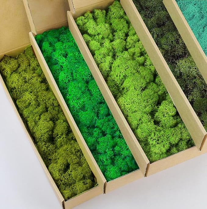 prefleur Preserved Reindeer Moss Natural Green DIY Kit Gardenning Art Wall Decor Florist Decor Easter Table Decor Wedding