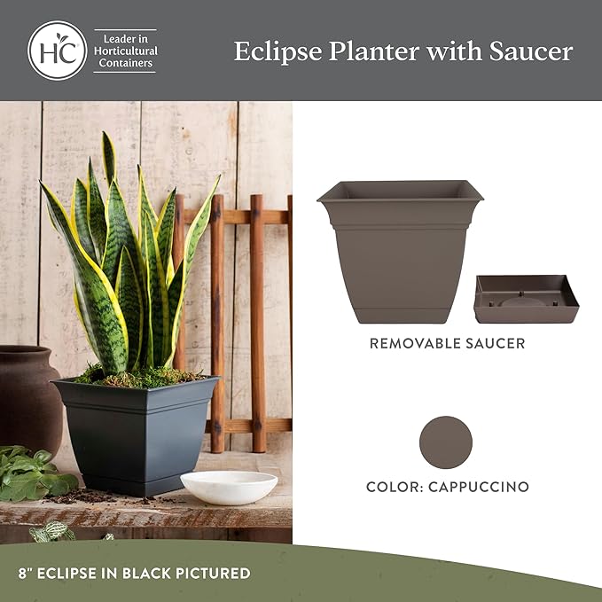 The HC Companies 6 Inch Eclipse Square Planter Pots with Drainage Holes & Attached Saucer, Lightweight UV-Resistant Plastic Indoor Outdoor Planters, 4-Pack Flower Pots, Garden Home Decor, Cappuccino