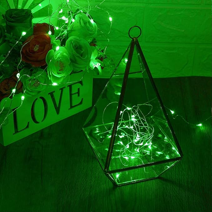 RUICHEN Silver Wire 66 Ft 200 LED USB Fairy String Lights with On/Off Switch (Green)