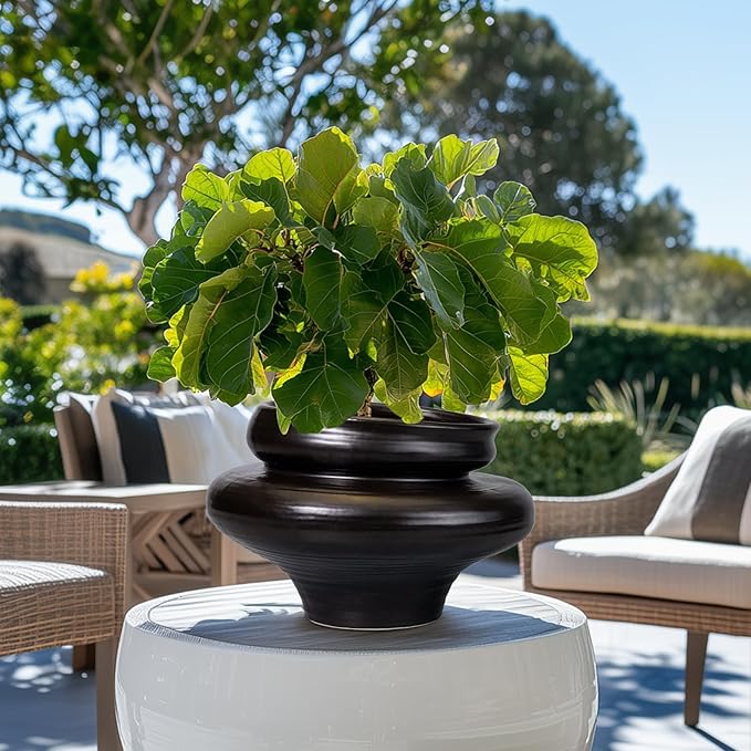 Teagas Ceramic Pots for Plants 11 Inch - Bonsai Planter for Outdoor Plants, Black Planter with Drainage Hole, Decorative Plant Pots for Home Decor, Gift for Women Men