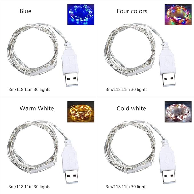 9ft USB Silver Wire LED String Lights - 30 LEDs Fairy Lights for Wedding, Party, Christmas Festival Decorations, W1