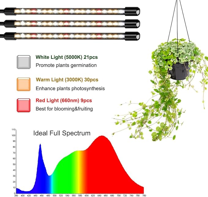 JINHONGTO 3Head Clip Grow Lights for Indoor Plants, Small Pot Plant Grow Light with 3,9,12 Hr Timer, Full Spectrum Bonsai Grow Light, Bright Plant Growing Lamps