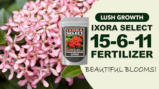 Fertilizer Commercial Grade | Ixora Select 15-6-11 | 5 Ounces | Custom Professional Mix | Granular Slow Release | 90-Day Soil Acidifier | Acid-Loving Plants Ixora Gardenia Azalea Camellia | Topdress