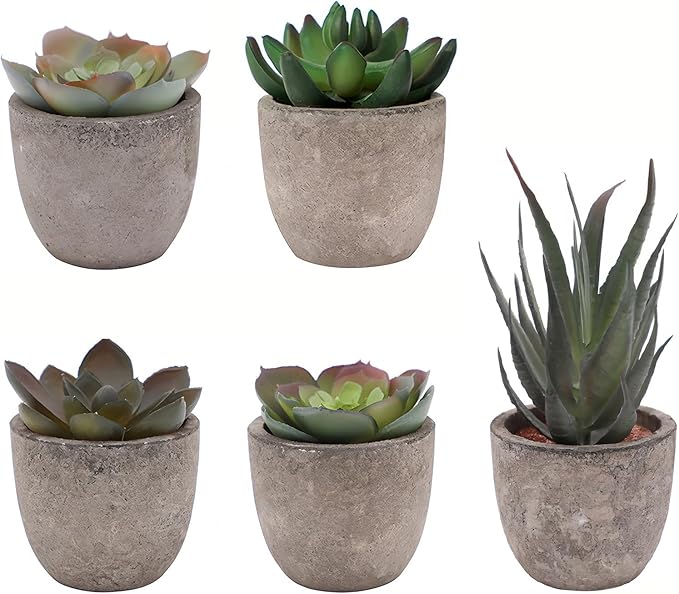 wiwauouo Set of 5 Artificial Succulent Plants in Pots - Lifelike Fake Succulents for Desk Decor, Low-Maintenance Home & Office Decor Gift