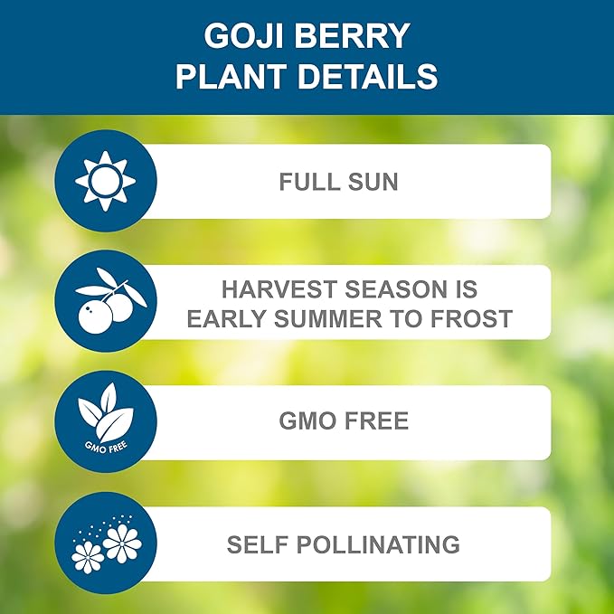 Garden State Bulb Common Goji Berry Tree Bare Roots, Non-GMO (Bag of 2)