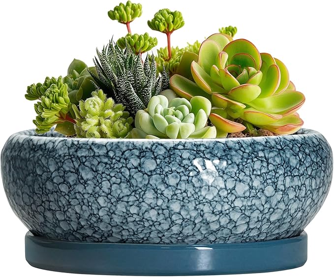 EPFamily Succulent Pots 6 Inch - Ceramic Bonsai Pots with Drainage Hole and Saucer, Shallow Planters for Indoor Outdoor, Small Bonsai Pot, Round Planter Bowl, Porch Room Decor, Plant Lover Gift, Blue