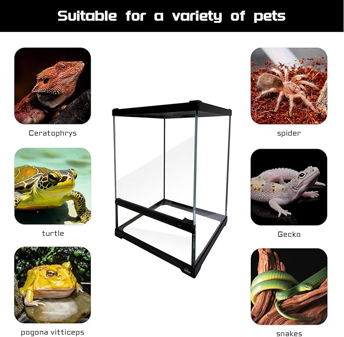 waazoorep Reptile Glass Terrarium Tank 10 * 10 * 14in, Full View with Front Opening Door,Amphibians Enclosure Habitat Cage for Crested Gecko,Spider,Tarantula,Lizard,Hermit Crab,Frog,Mantises,Insects