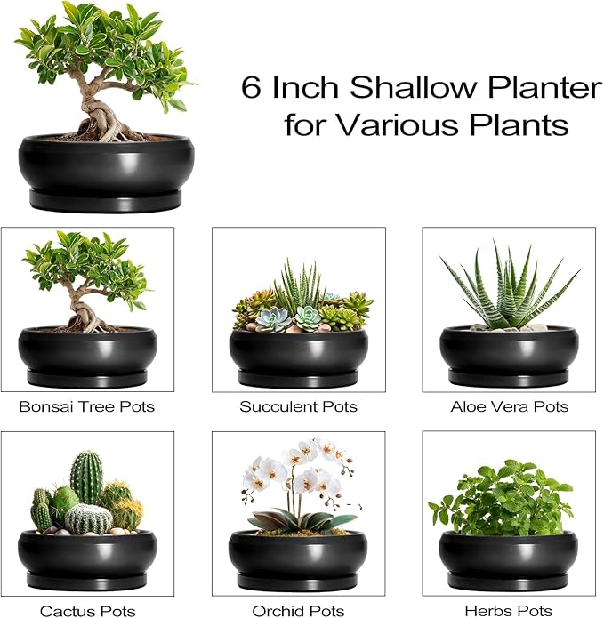 EPFamily Bonsai Tree Pots Small - 6 Inch Ceramic Succulent Pots for Indoor Plants Outdoor, Round Planter with Drainage Hole and Saucer, Shallow Planter Bowl, Bathroom Decor, House Warming Gift, Black
