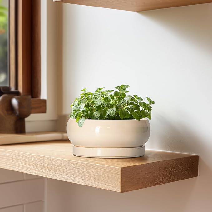 EPFamily Succulent Pots 8 Inch - Ceramic Bonsai Pots with Drainage Hole and Tray, Shallow Plant Pot Indoor Outdoor, Bonsai Tree Pot, Round Modern Planter Bowl, Garden Decor, Gardening Gift, Beige