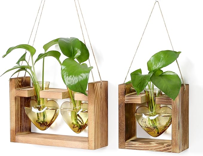 2+1 Plant Terrarium Plant Propagation Station Birthday Gifts for Women Home Office Decor with Wooden Stand
