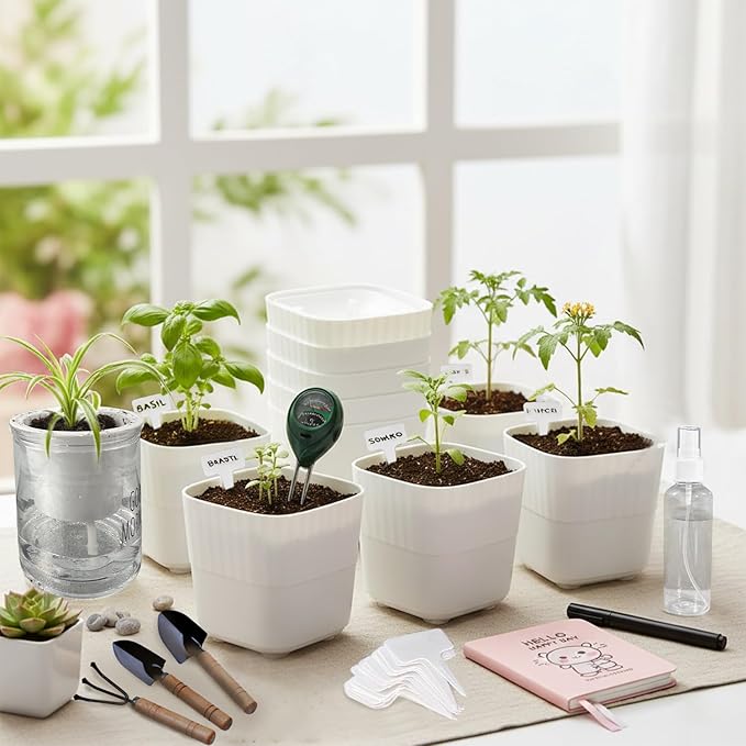 Soliseed Indoor Herb Garden Kit, Window HerbPots, Gardening Tools for Beginners, Kitchen Windowsill Planter, DIY Grow Gift for Home Outdoor Plants- Herb Pots with Drainage Holes