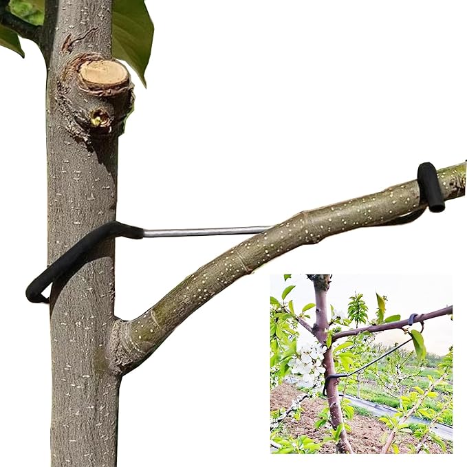 Fruit Tree Branch Spreaders 20PCS Fruit Tree Limb Spreaders Branch Spreader for Fruit Trees Durable Solution Tree Support Branches Tree Branch Spreaders for Fruit Trees New Branches (7 inches)