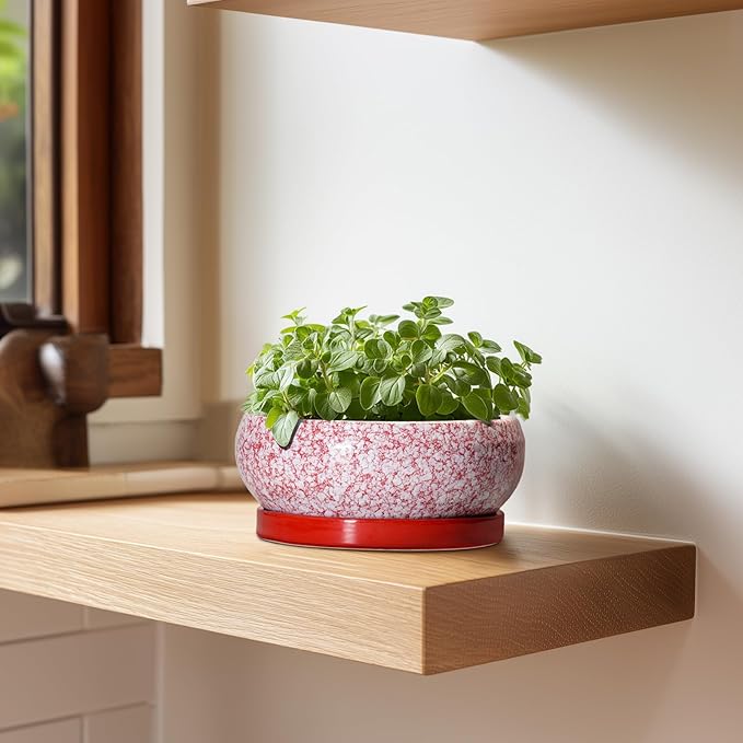 EPFamily Bonsai Pots Small - 6 Inch Ceramic Succulent Pots with Drainage Hole and Ceramic Saucer, Succulent Planters Indoor Outdoor, Shallow Round Planter, Apartment Decor, Housewarming Gifts, Red
