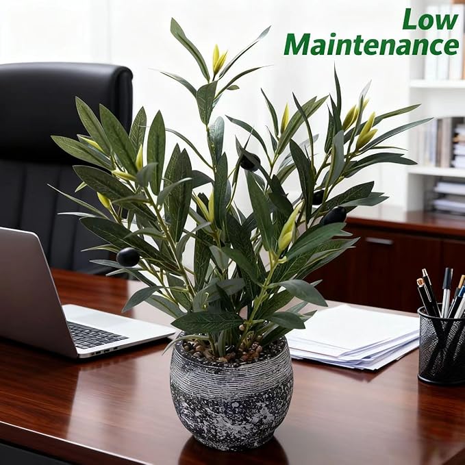 Ewtogift Indoor Faux Olive Plant 12 inch Artificial Silk Leaves in Elegant Planter Perfect Fake Olive Branches with Realistic Trunk and Lifelike Fruits Tabletop Greenery Decor for Home Office
