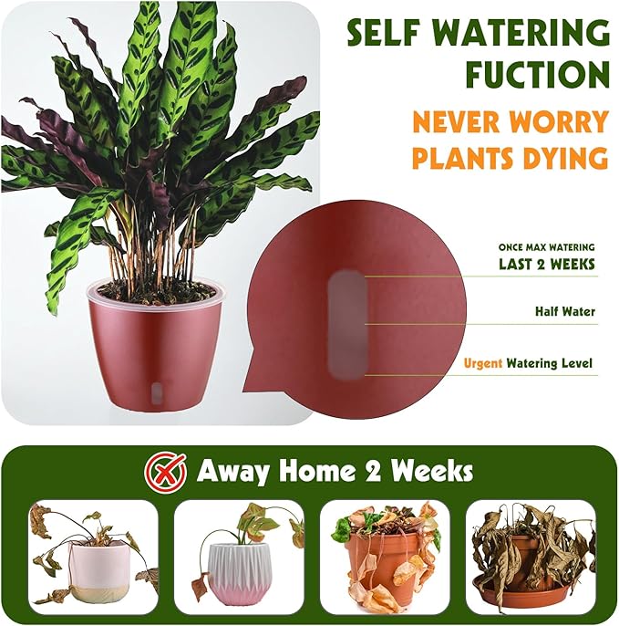KvyusFlourish Self Watering Pots for Indoor Plants, 4-Pack 6.7'' Self Watering Planter with Drainage Holes, Small African Violet Pots with Water Indicator, Clear Wick Orchid Pot, Rose Gold