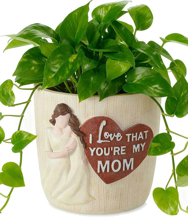Afigurna Gardening Gifts for Mom from Daughter: 5.3in Hand-Painted 3D Art Planter - Garden Gifts for Gardening Mom - Meaningful Plant Pot Gifts for Birthday Christmas Mother's Day
