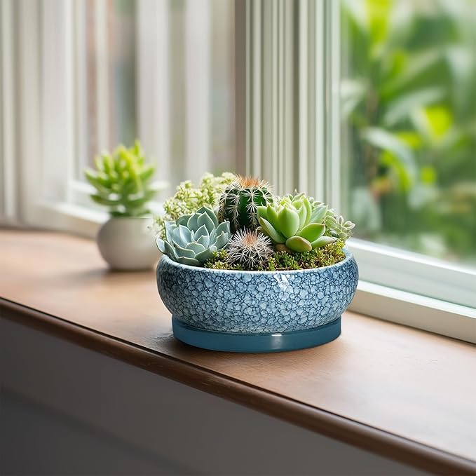 EPFamily Succulent Pots 6 Inch - Ceramic Bonsai Pots with Drainage Hole and Saucer, Shallow Planters for Indoor Outdoor, Small Bonsai Pot, Round Planter Bowl, Porch Room Decor, Plant Lover Gift, Blue