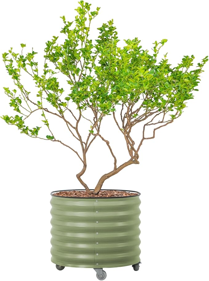 Rolling Metal Citrus Tree Planter Pot, 27″ Round Planter Box for Porch Patio & Backyard, 45 Gallon Large Planter Pot with Wheels for Growing Trees Tomatoes Vegetables and Flowers, Olive Green