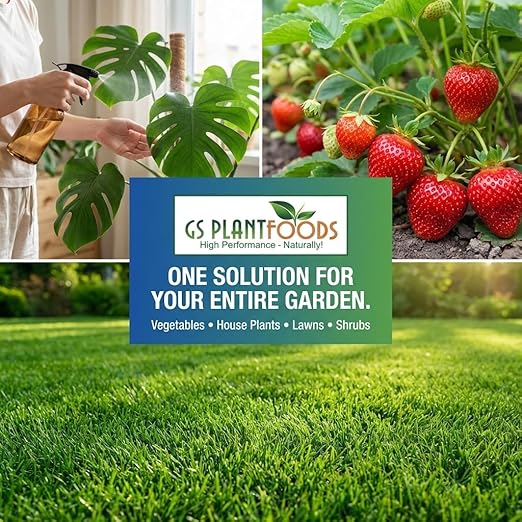 GS Plant Foods Liquid Fish & Kelp Fertilizer (1 Gallon) – Organic Material Review Institute Listed Natural Plant Food for Home Gardens, and Vegetables