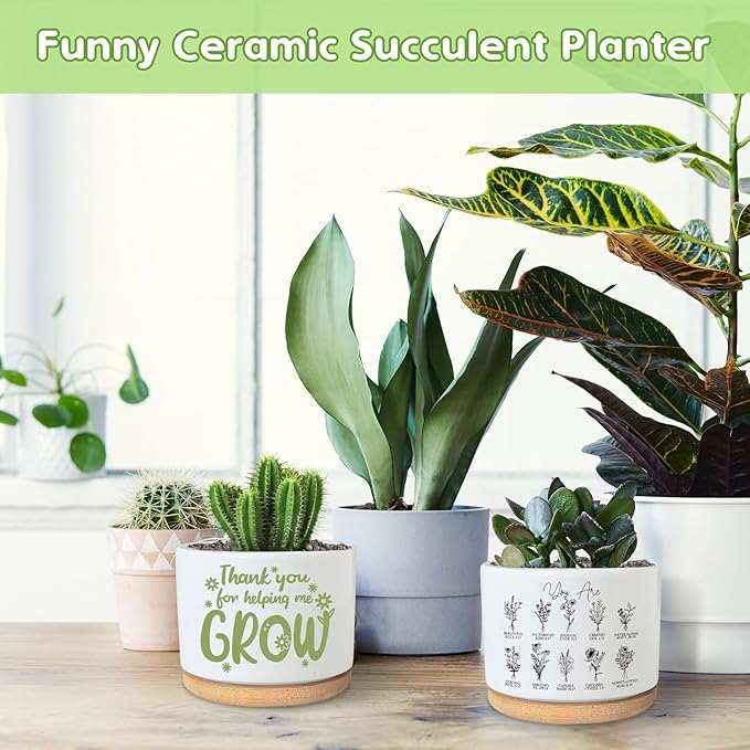 PZJIEAN You are Beautiful Succulent Plant Pot, Cute 3.5 Inch Ceramic Pot, Inspirational Christian Desk Windowsill Pots for Small Plants, Cactus Gifts Plant, Religious Planter (No Plants)
