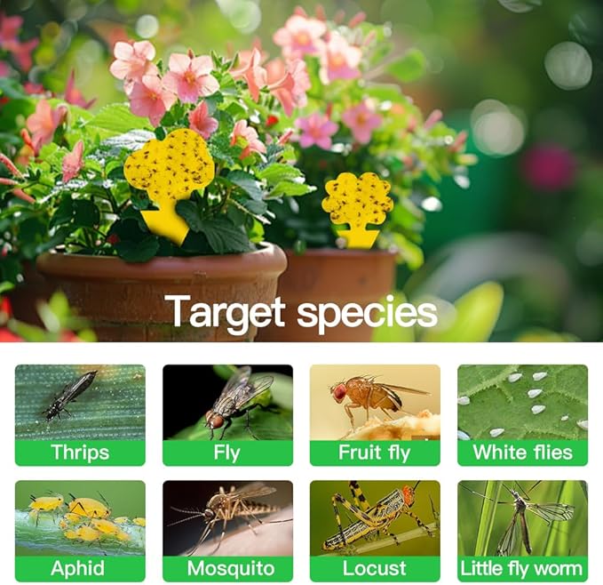 58 Pack Flying Insect Traps for Plants – Yellow Sticky Traps for Fungus Gnats, Flies & Flying Bugs, Indoor Outdoor Flying Bug Catcher for Pots, Garden & Kitchen, Non-Toxic, Odorless, Kid & Pet Safe