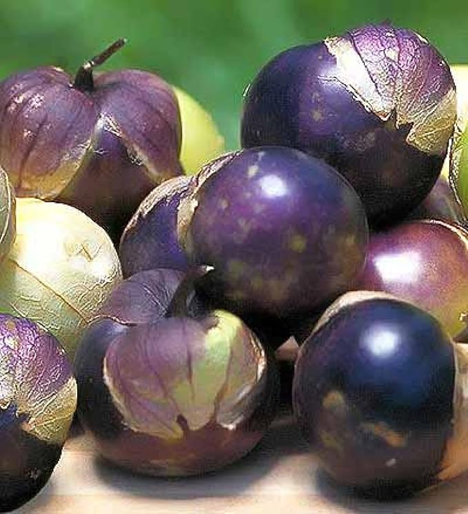 Seeds Purple Cape Gooseberry Goldenberry Groung Cherry Physalis Non GMO Vegetable for Planting