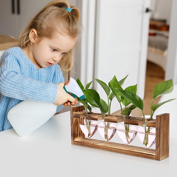 CYZglass Heart Plant Terrarium Kit Gift for Women Plant Lover Glass Vases