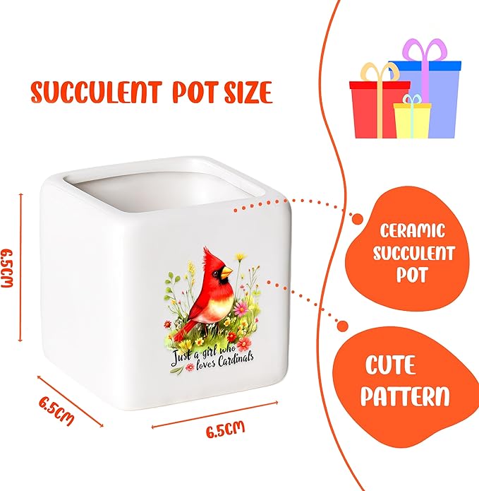 BJDAMAI Cardinal Succulent Planter Flower Plant Pot Small, Gifts for Women Teens Girls Kids, Cardinal Lovers Themed Stuff Accessories Things Decor Merch, Home Office Table Desk Decoration!
