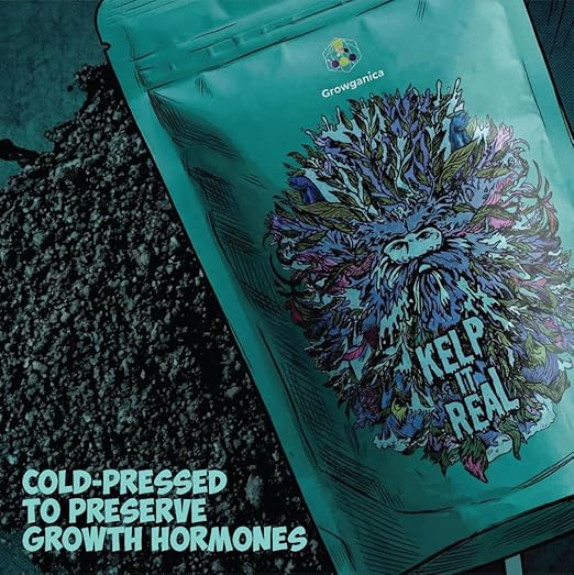 Kelp it Real Organic Seaweed Fertilizer for Plants - Makes 200 gallons - OMRI Listed - Vegan Certified - for Indoor Gardeners, Houseplants, Fruits, Vegetables, Hydroponics - (8oz)