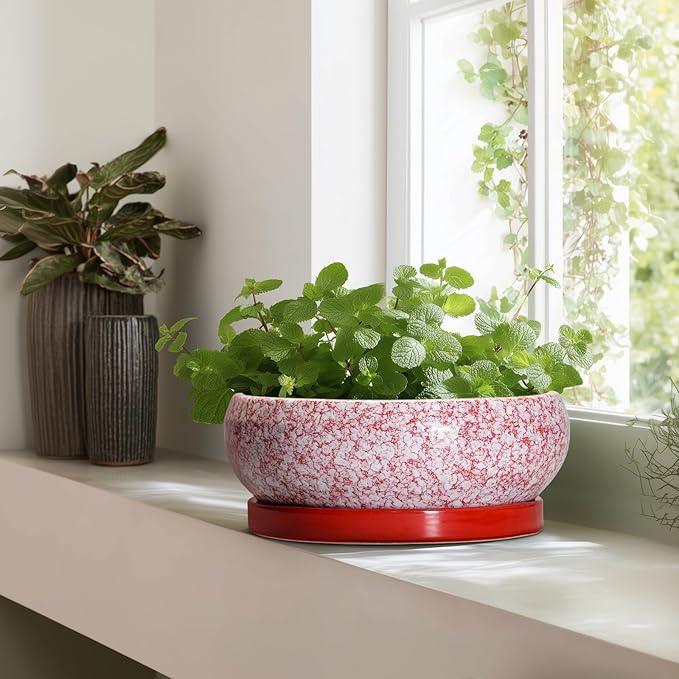 EPFamily Bonsai Tree Pots 13 Inch - Ceramic Bonsai Pots with Drainage Hole and Tray, Large Succulent Planters Indoor, Round Bowl Planter Outdoor, Shallow Planter, Garden Decor, Plant Lover Gifts, Red
