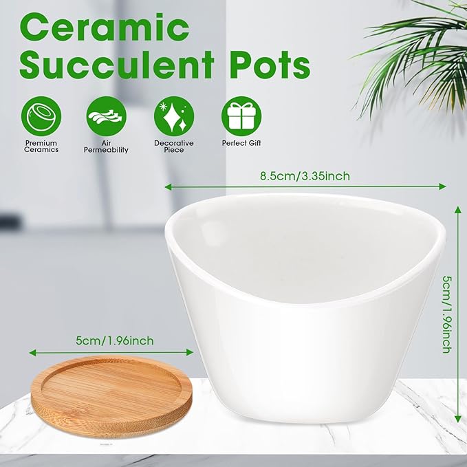 Domensi 24 Pack Succulent Planter Pots 3 Inch Small Plant Pots Mini Ceramic Succulent Planter Holder with Drainage Holes and Bamboo Saucers (White)