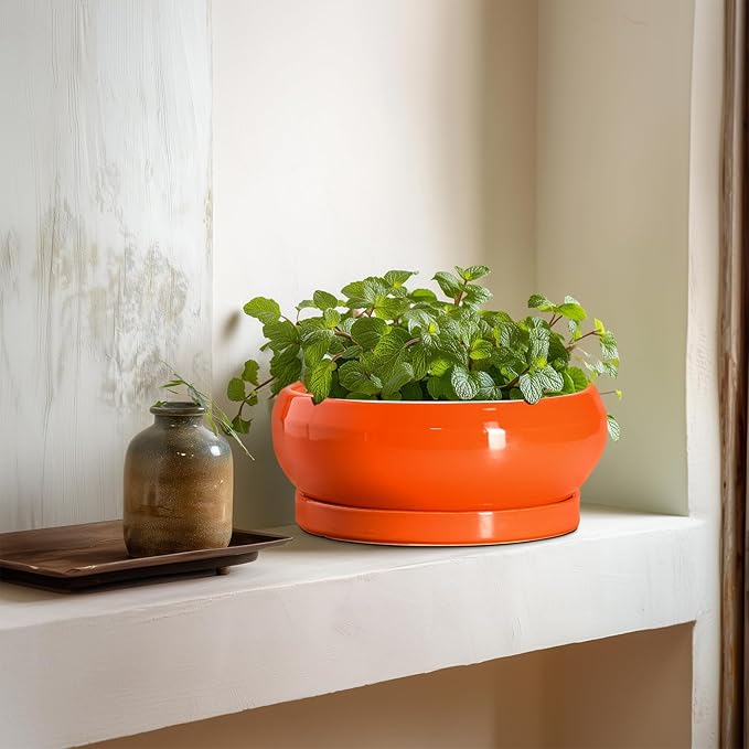 EPFamily Bonsai Pots 8 Inch - Ceramic Succulent Planter with Drainage Hole and Saucer, Shallow Plant Pot Indoor Outdoor, Round Bowl Planter, Bonsai Tree Pots, Table Decor, Plant Lover Gift, Orange