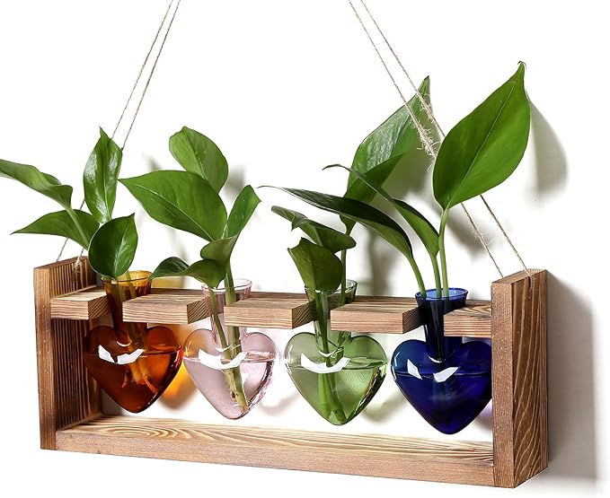 CYZglass Plant Propagation Stations Heart Plant Terrarium Kit Gift for Women Plant Lover Glass Vases