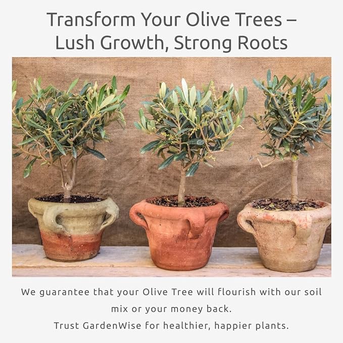 GARDENWISE Organic Olive Tree Potting Mix – Fast-Draining, Nutrient-Rich Soil for Indoor & Outdoor Olive Trees – Mediterranean Plant Care – Long-Lasting Formula (3 QUARTS)