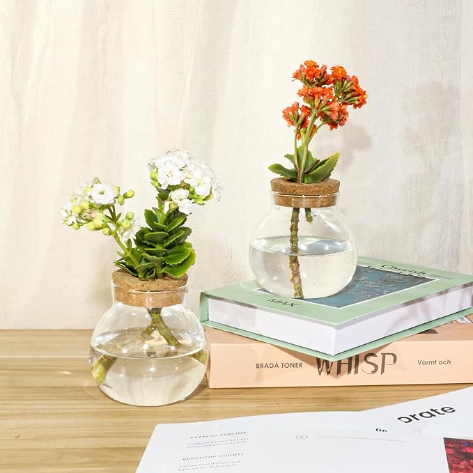 Plant Propagation Station - Glass Terrarium Vase Set of 4 for Hydroponic Plants, Desktop Glass Planter,Centerpiece Office,Door Home Garden Decor,Sizes of About 2 Plants,Office Decor Gift Idea Cu