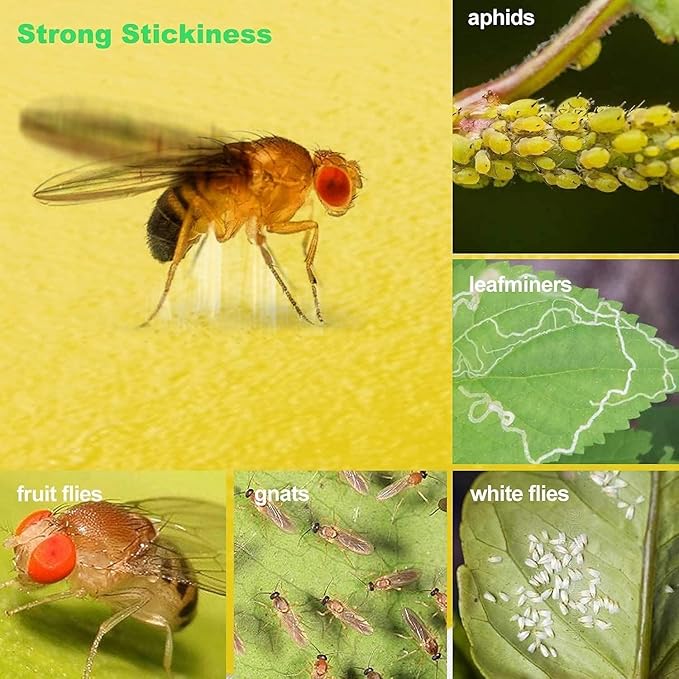 100 Pcs Sticky Traps for gnat, Yellow Stick Traps for Plants, Fungus gnat Trap Double Side with Shovel, Indoor Safe for Gnat, Fruit Fly, White Fly, Aphid, Leaf Miner