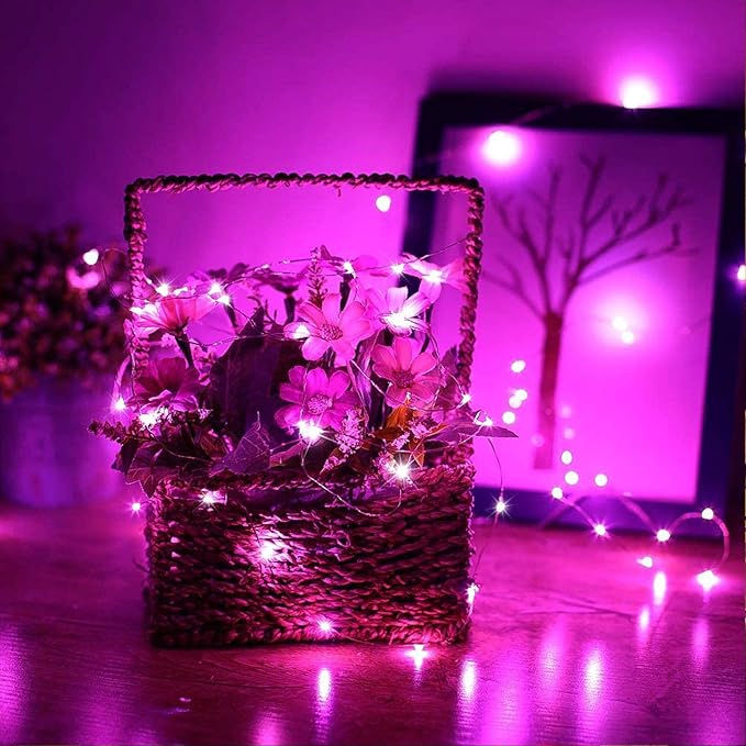 RUICHEN Silver Wire 66 Ft 200 LED USB Fairy String Lights with On/Off Switch (Pink)