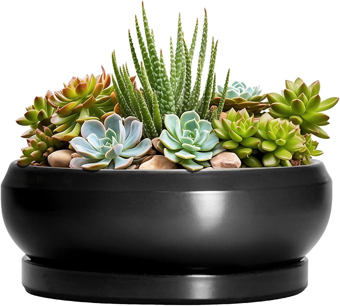 EPFamily Succulent Planters 8 Inch - Ceramic Bonsai Pots for Indoor Outdoor, Round Succulent Pots with Drainage Hole and Saucer, Modern Shallow Planter Bowl, Garden Home Decor, Birthday Gifts, Black