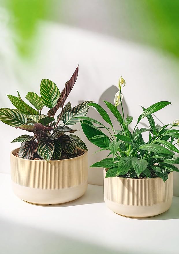 Ceramic Planters - 10+12 Inch Large Pots for Indoor & Outdoor Plants, Modern Flower Pots with Drainage Holes and Self Watering Devices, House Beige Big Plant Pot, Set of 2