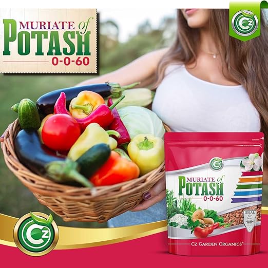 Muriate of Potash 0-0-62 Fertilizer Made in USA - MOP Potassium Plant Food for Indoor/Outdoor Plants, Flower Gardens, Fruit and Vegetable Gardens, Holistic Herbs, Trees and Green Lawns!