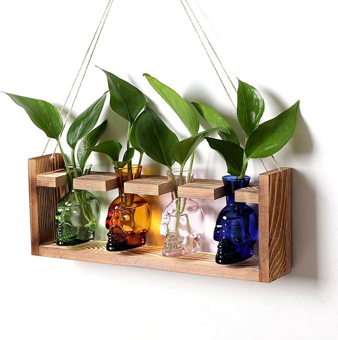 CYZglass Plant Propagation Stations Halloween Skull Plant Terrarium Kit Glass Vases Gift for Father Air Planter Home Office Decor